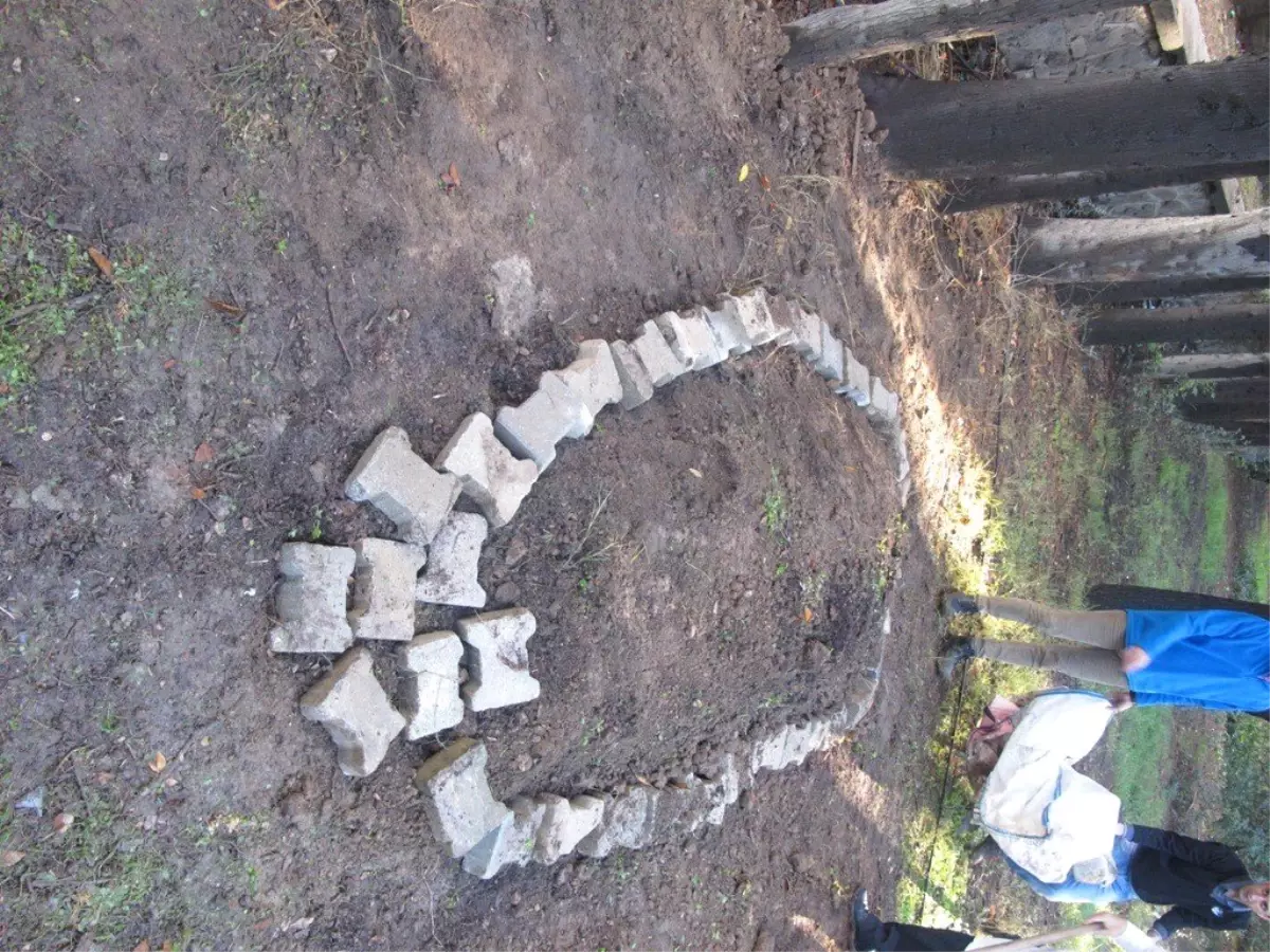 Ölü Yunus Müzede Yaşayacak