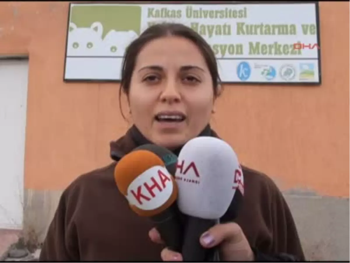 Yaban Hayatın Gül\'ü