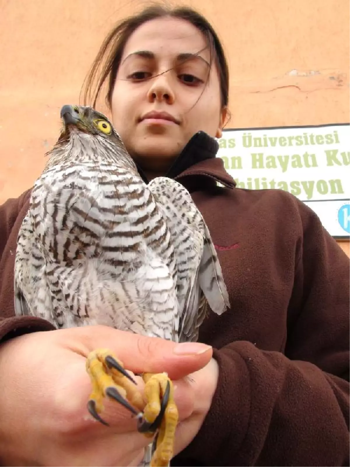 Yaban Hayatın Koruyucusu