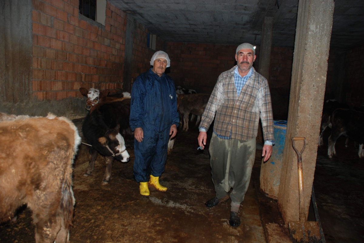 Hayvan Besicileri Fiyatlardan Memnun Değil