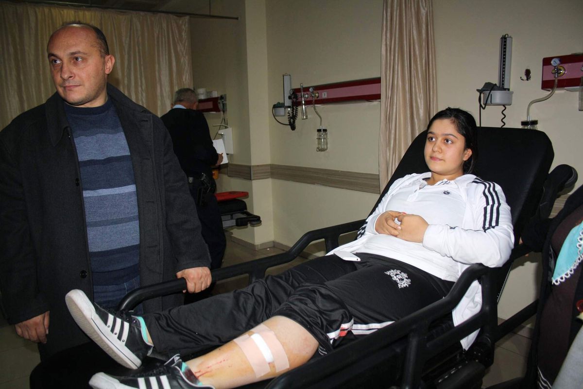 Saldırgan Maymun Uyuşturucu Tabanca ile Vurularak Yakalanabildi