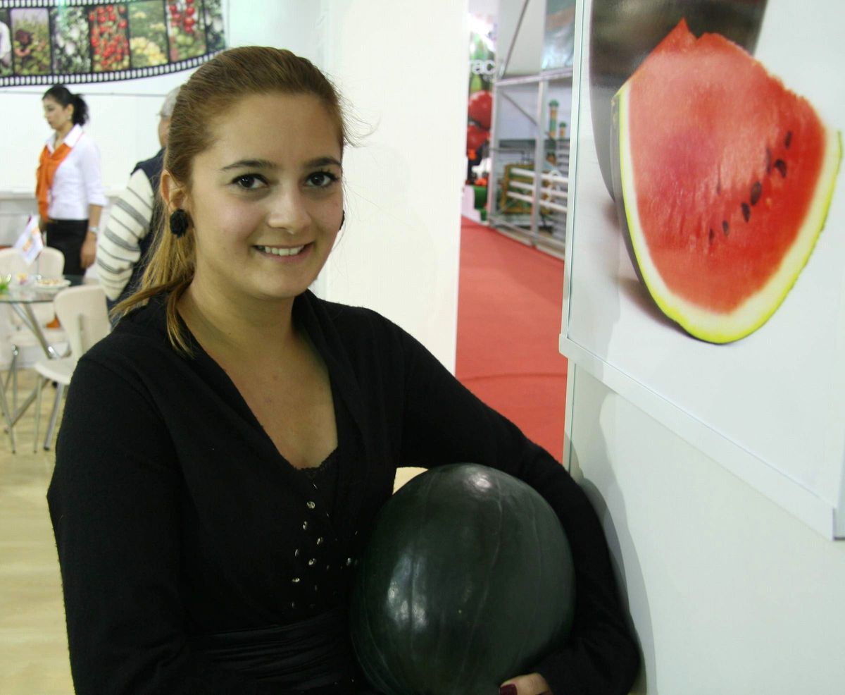 Siyah Karpuz Üretiyorlar