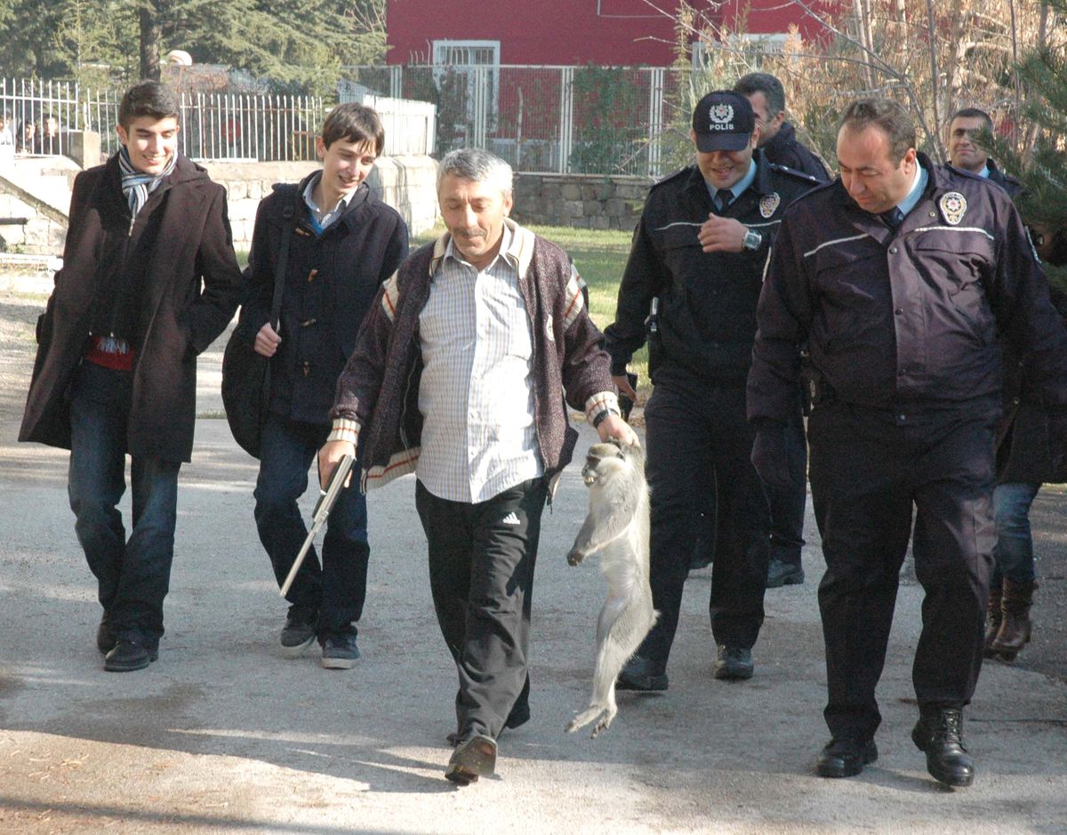 Maymun 2 Kızı Yaraladı