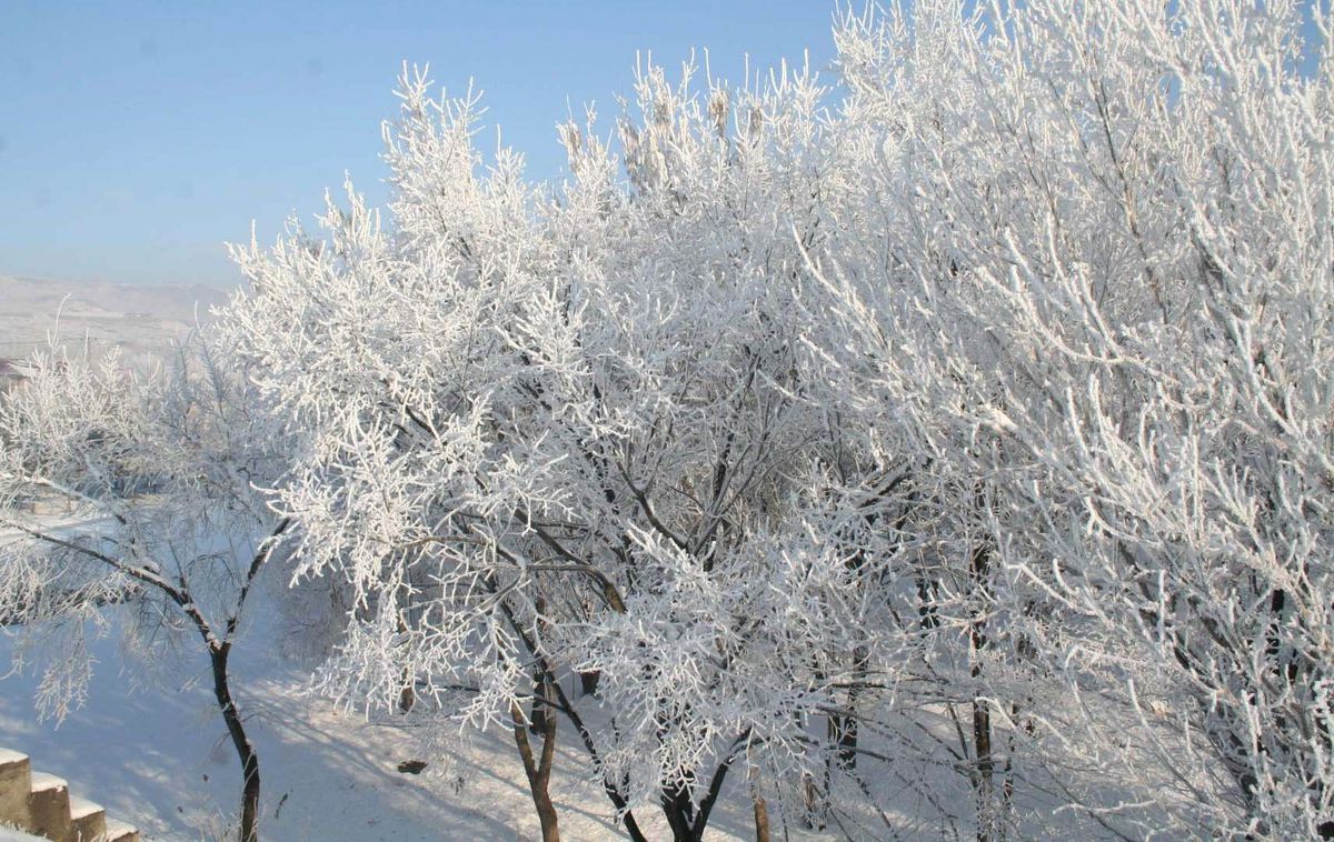 Kars Adeta Buz Kesti