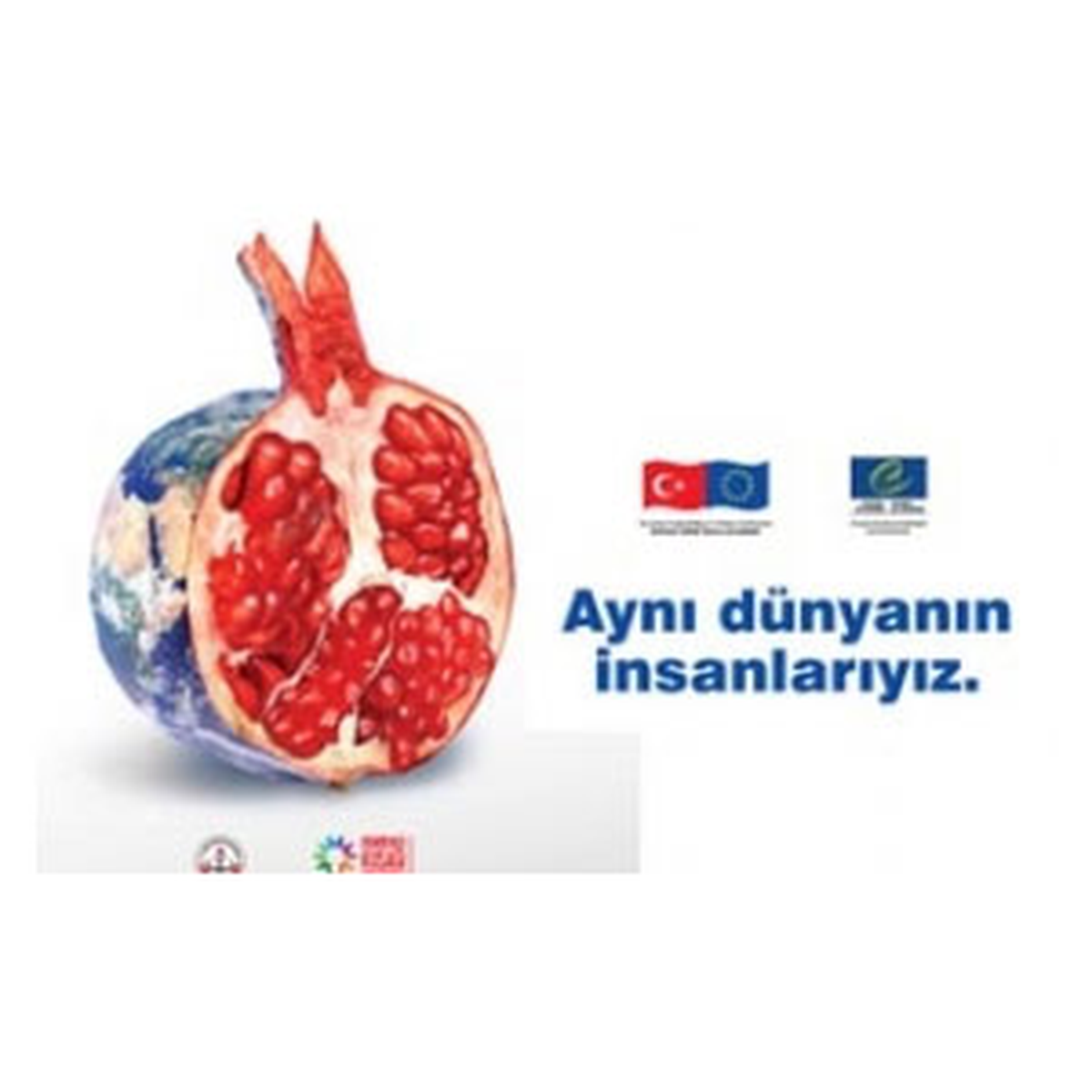 MEB\'den "İnsan Hakları Günü"Ne Özel Afiş