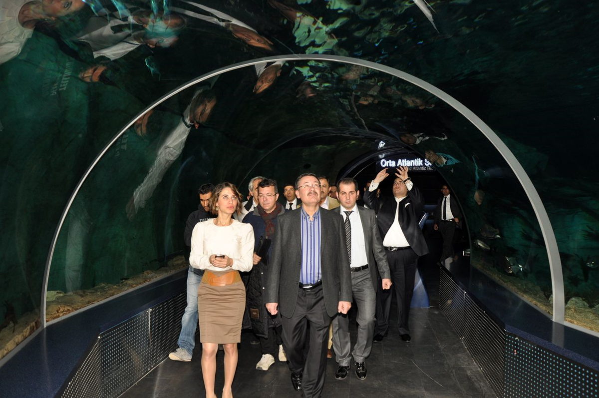 Melih Gökçek İstanbul Akvaryumu Gezdi