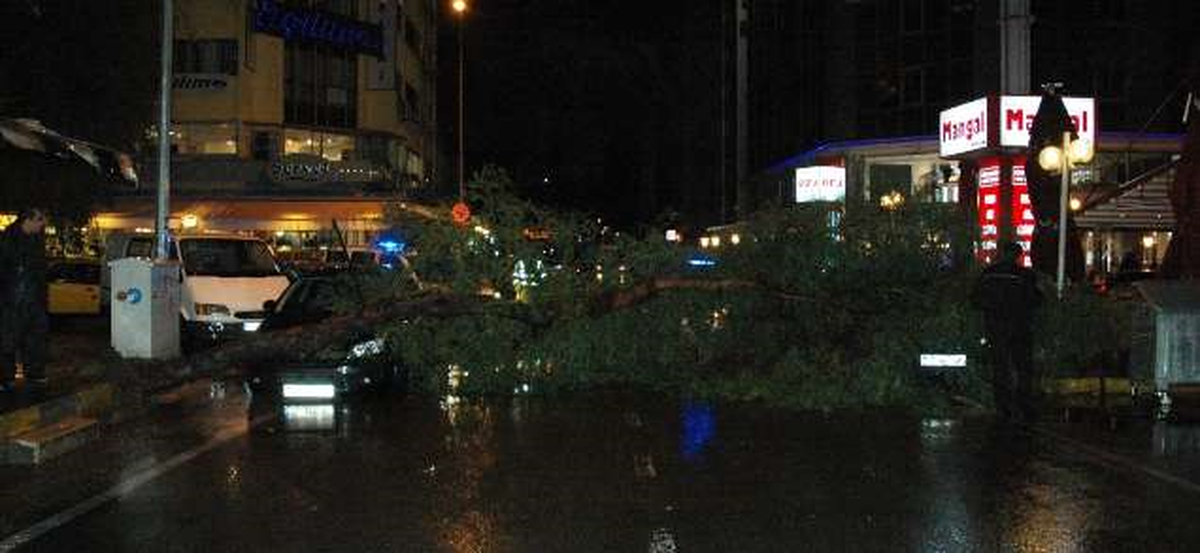 Yağmur ve Fırtına Otomobilin Üstüne Ağaç Devirdi