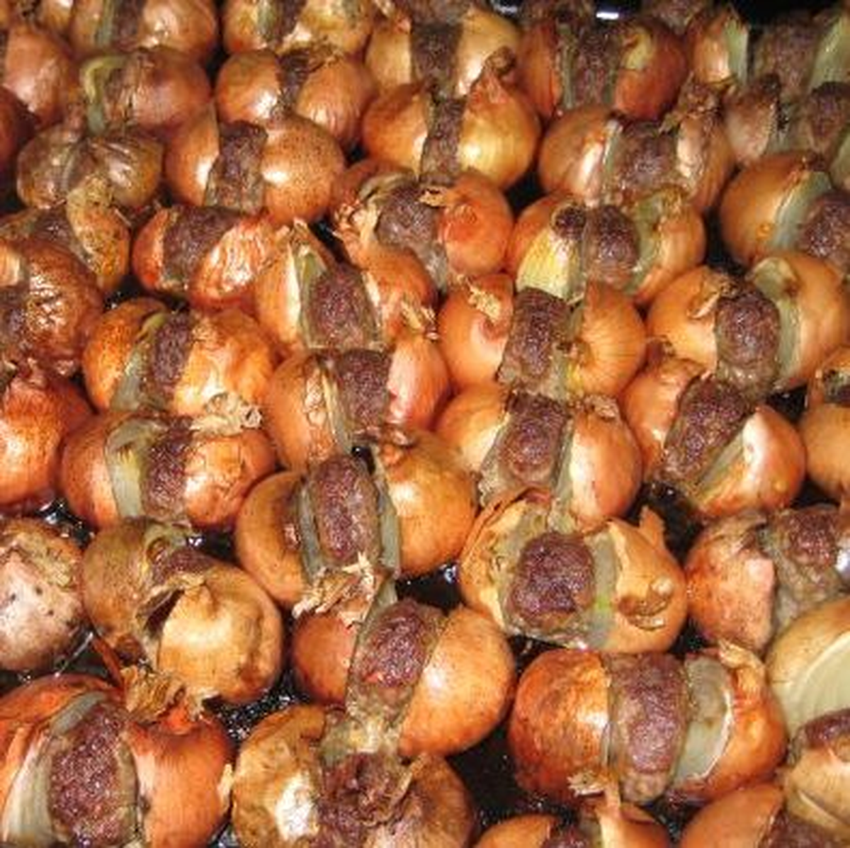 Gribe Karşı "Soğan Kebabı"