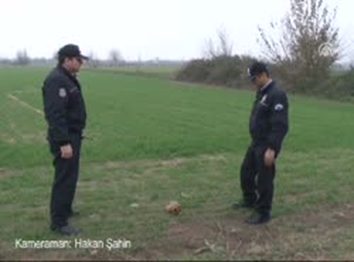 Kafatasını Yola Attılar
