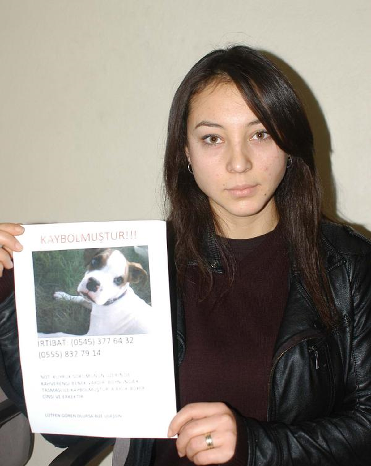 Kaybolan Köpeğini El İlanı ile Arıyor