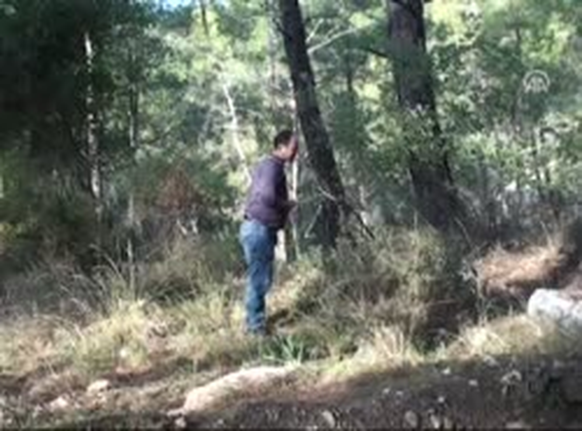 Mantar Zehirlenmesinde Kritik 72 Saat