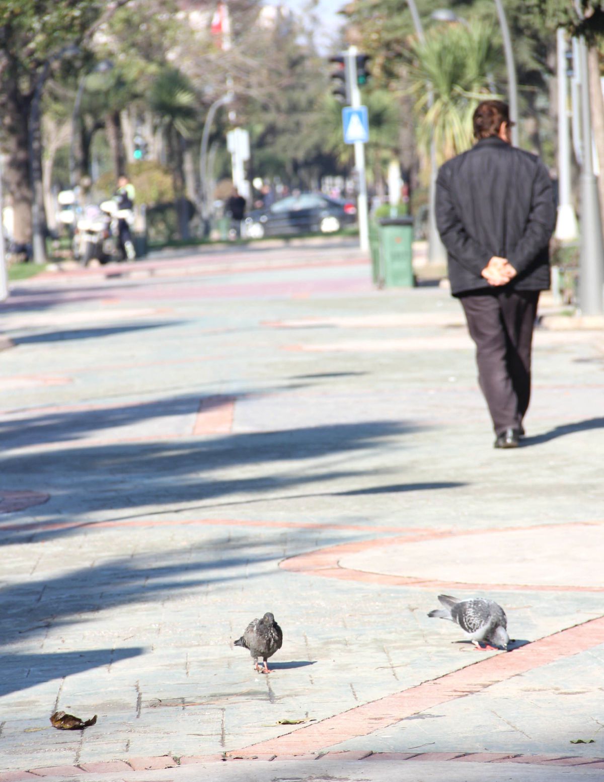 Sakarya\'da Yazdan Kalma Günler Yaşanıyor