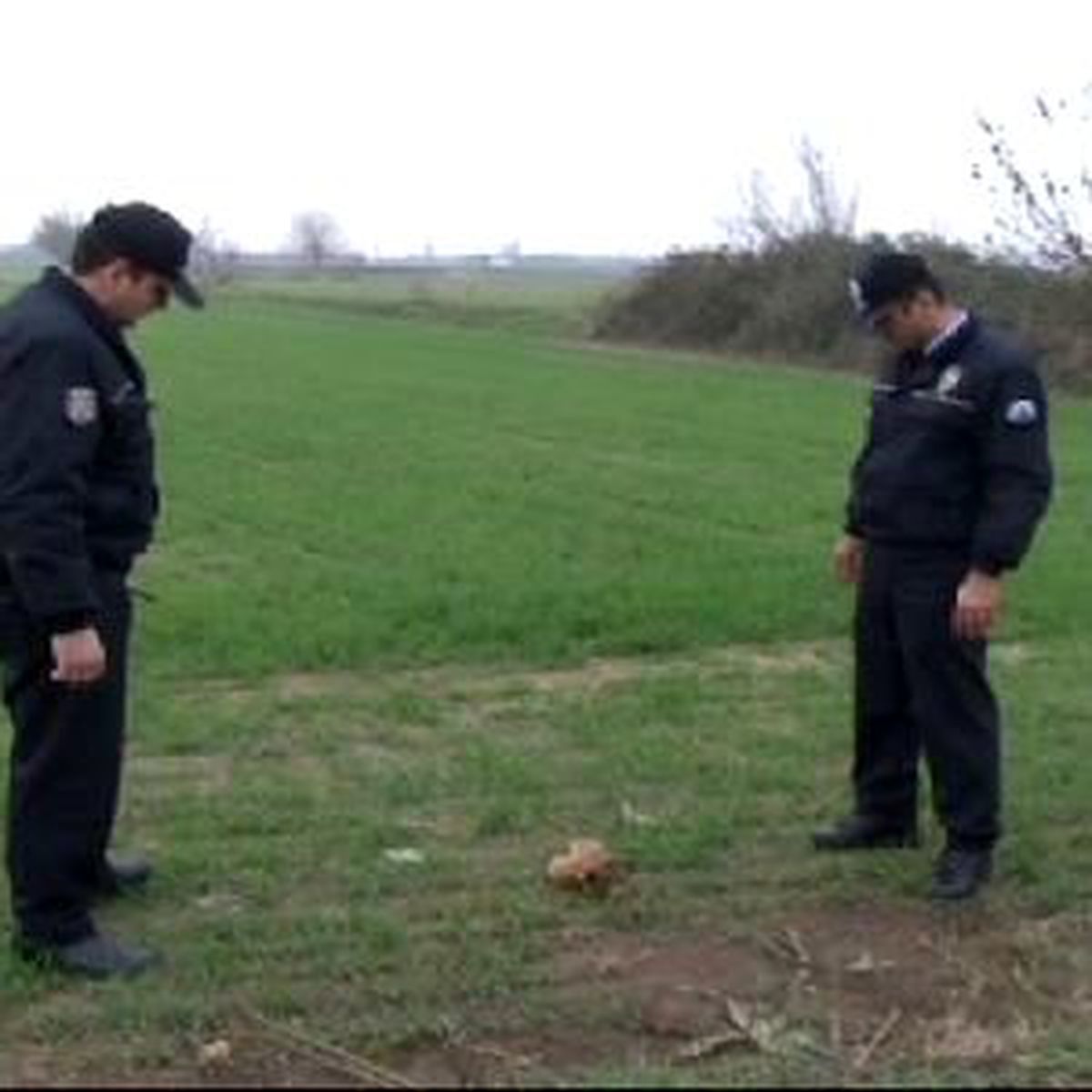 Kafatasını Yola Attılar