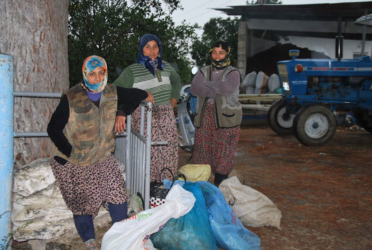 Tarım İşçisi Kadınların Ekmek Mücadelesi