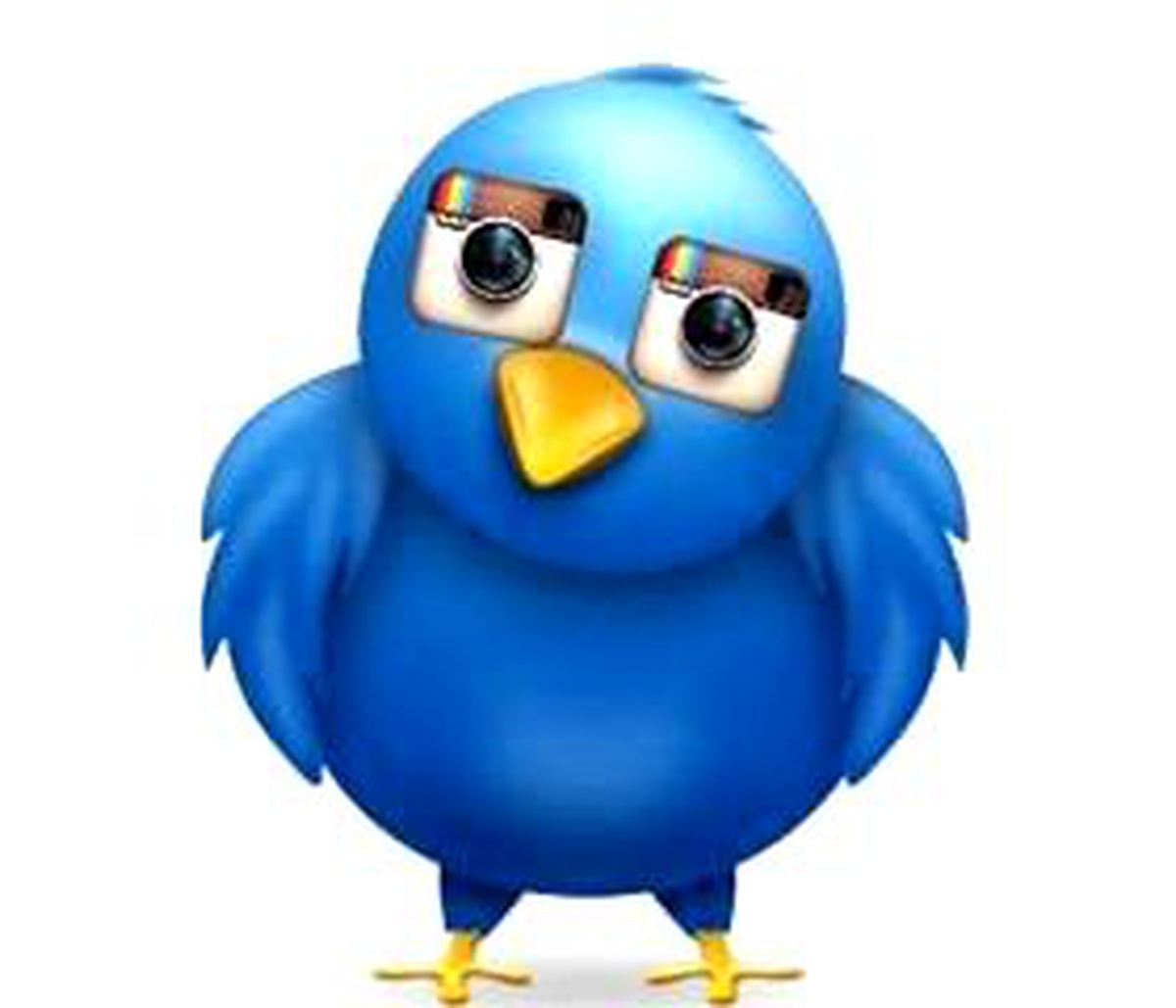 Twitter\'ın Fotoğraf Filtreleri Hazır