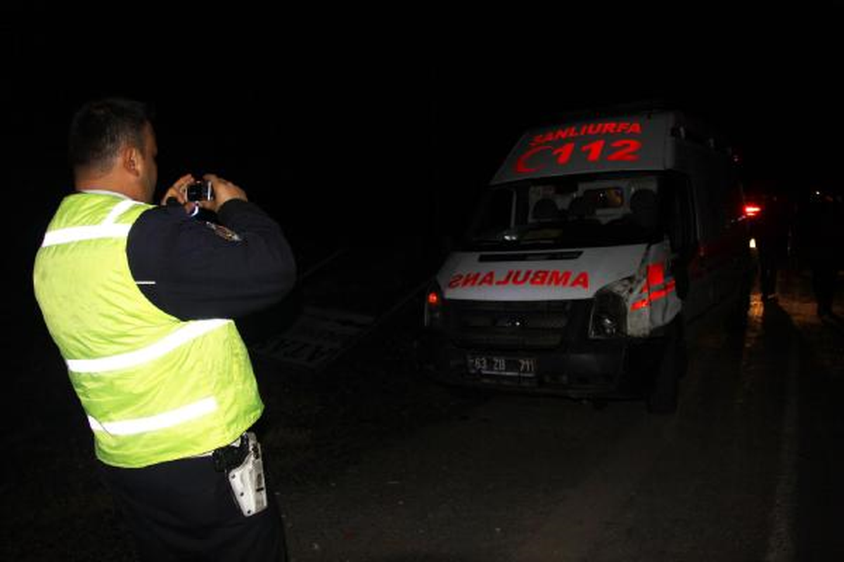 Ambulansın Çarptığı Eşek Telef Oldu