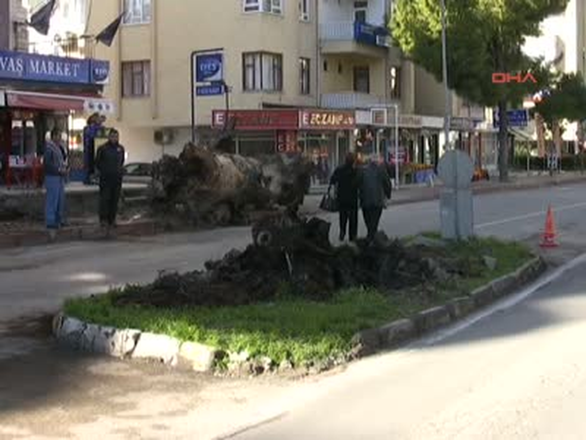 Antalya Asırlık Çınar Rüzgara Dayanamadı Asırlık Çınar Rüzgara Dayanamadı