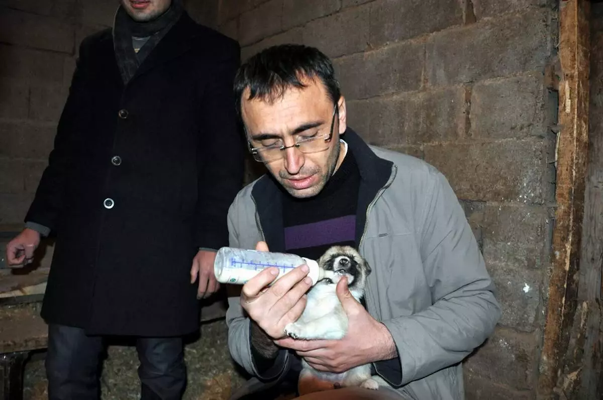 \'Çomar\'ın Yavruları Devlet Güvencesi Altında