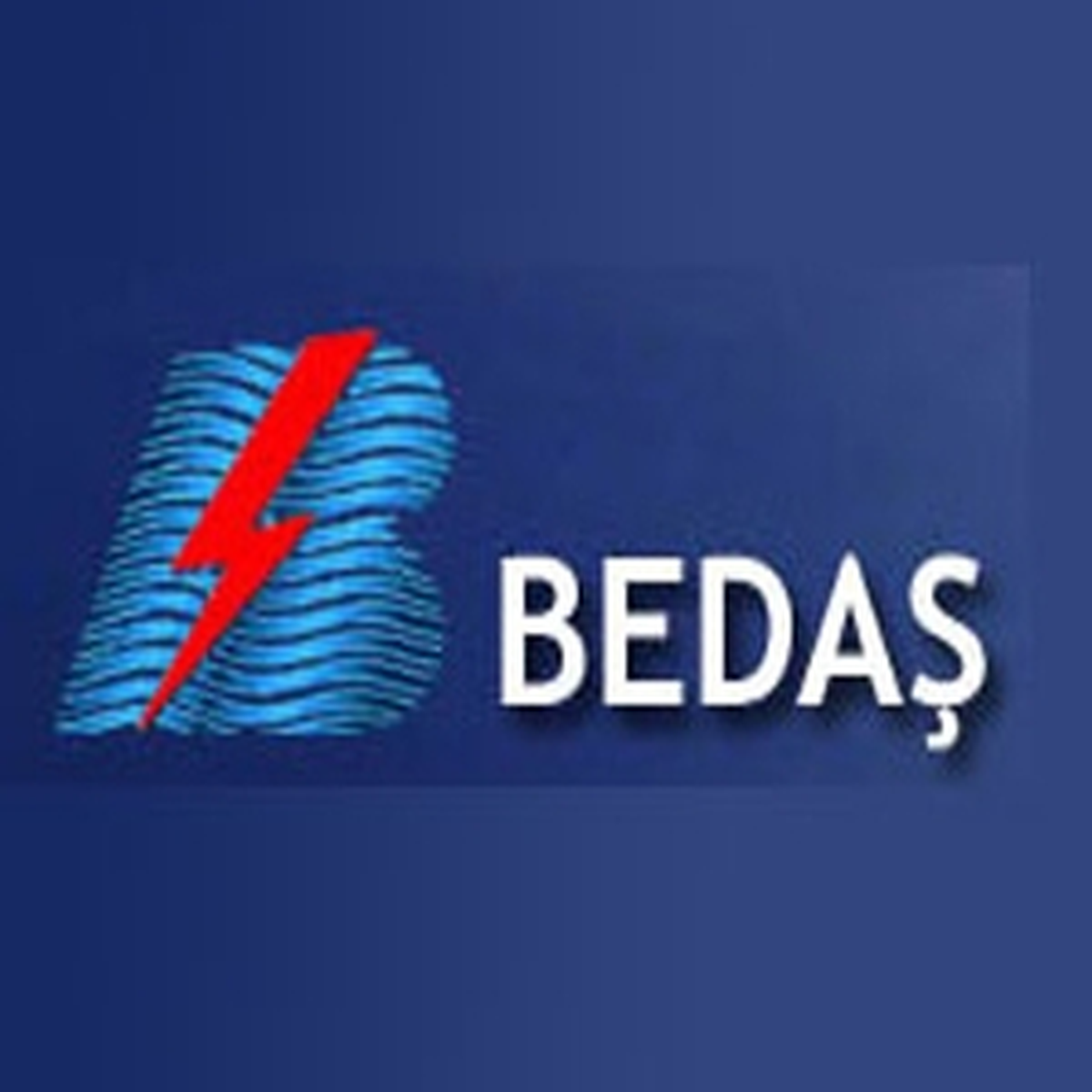 BEDAŞ İhalesine 1.9 Milyar Dolar
