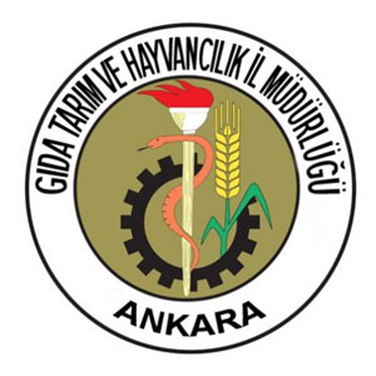 Bitkisel Ürünlerin Kapıları Belirlendi