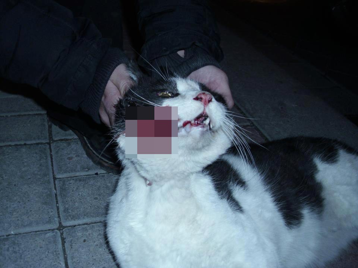 Denizli\'de İnsan Vahşeti