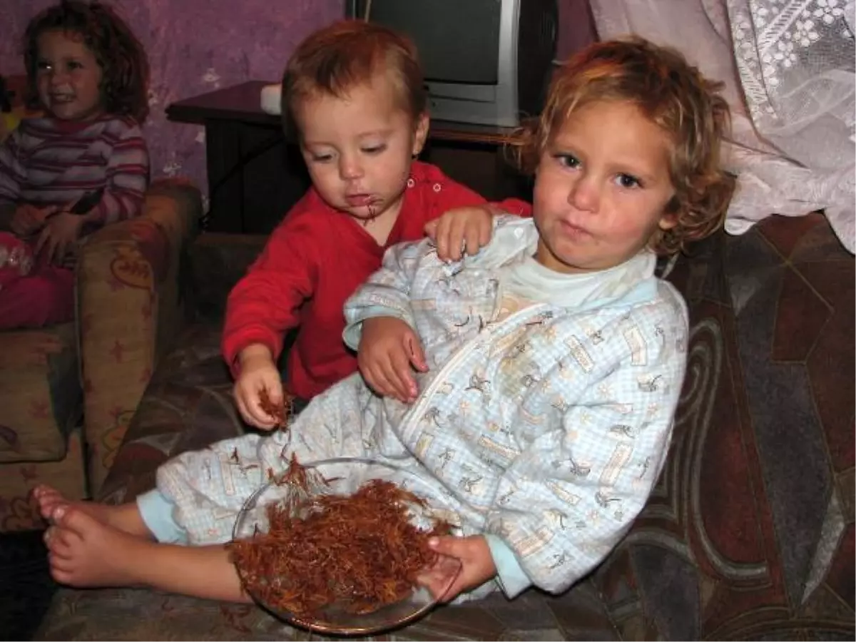 Eşi Kuma Getirince Evi Terk Eden Kadın, 6 Çocuğu ile Yaşam Mücadelesi Veriyor