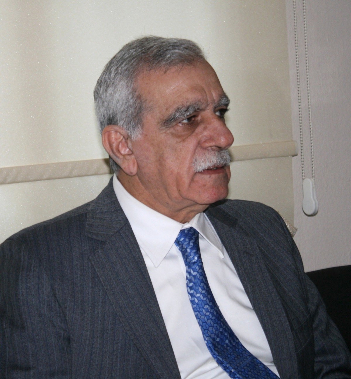 Mardin Bağımsız Milletvekili Ahmet Türk Açıklaması