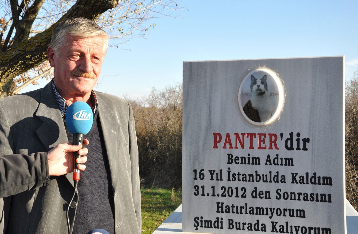 Kedisine Mezar Yaptırdı