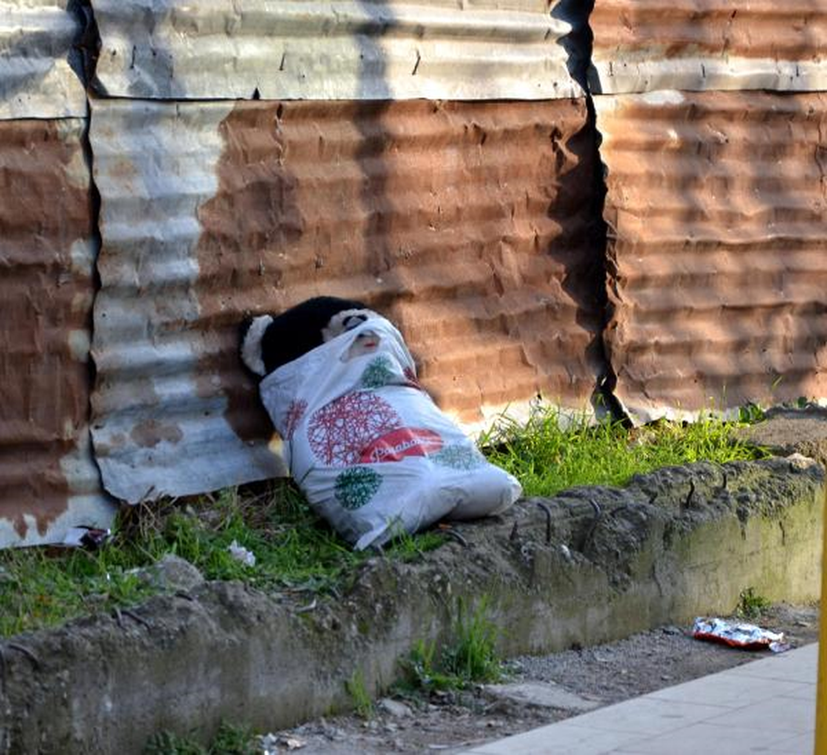Oyuncağın Bulunduğu Poşet Bomba Şüphesi Yarattı