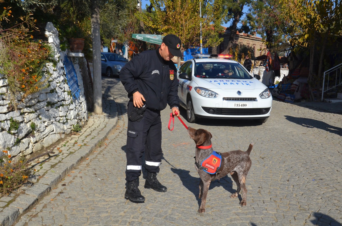 Şirince\'de Jandarma Alarmda