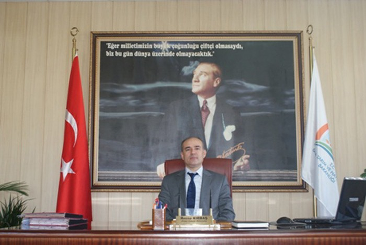 Balık Tüketimi Kronik Birçok Hastalıkların Önüne Geçmektedir