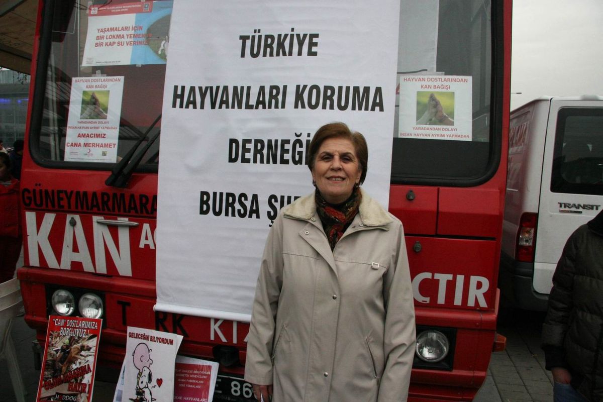 Hayvanseverlerden Kan Bağışı
