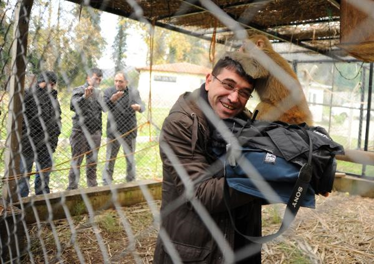 Rehabilitasyon Merkezinin Maskotu Çiko Yine İşbaşında