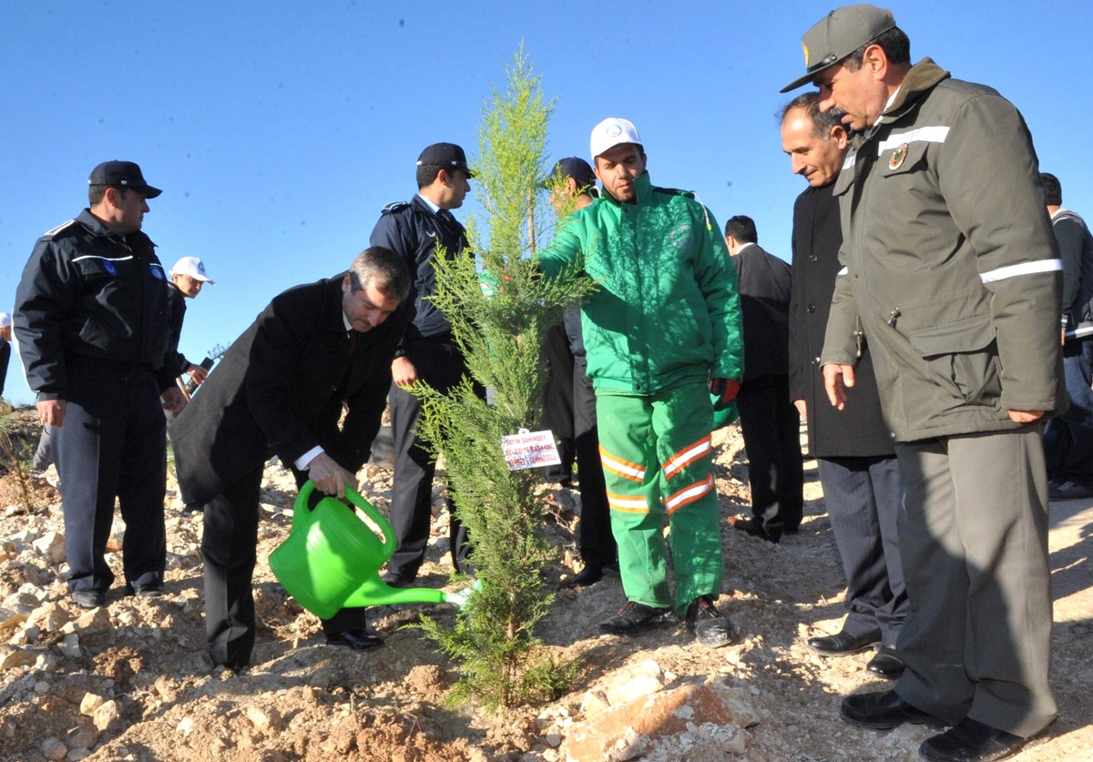 Şahinbey Belediyesi, Ücretsiz Fidan Dağıtıyor