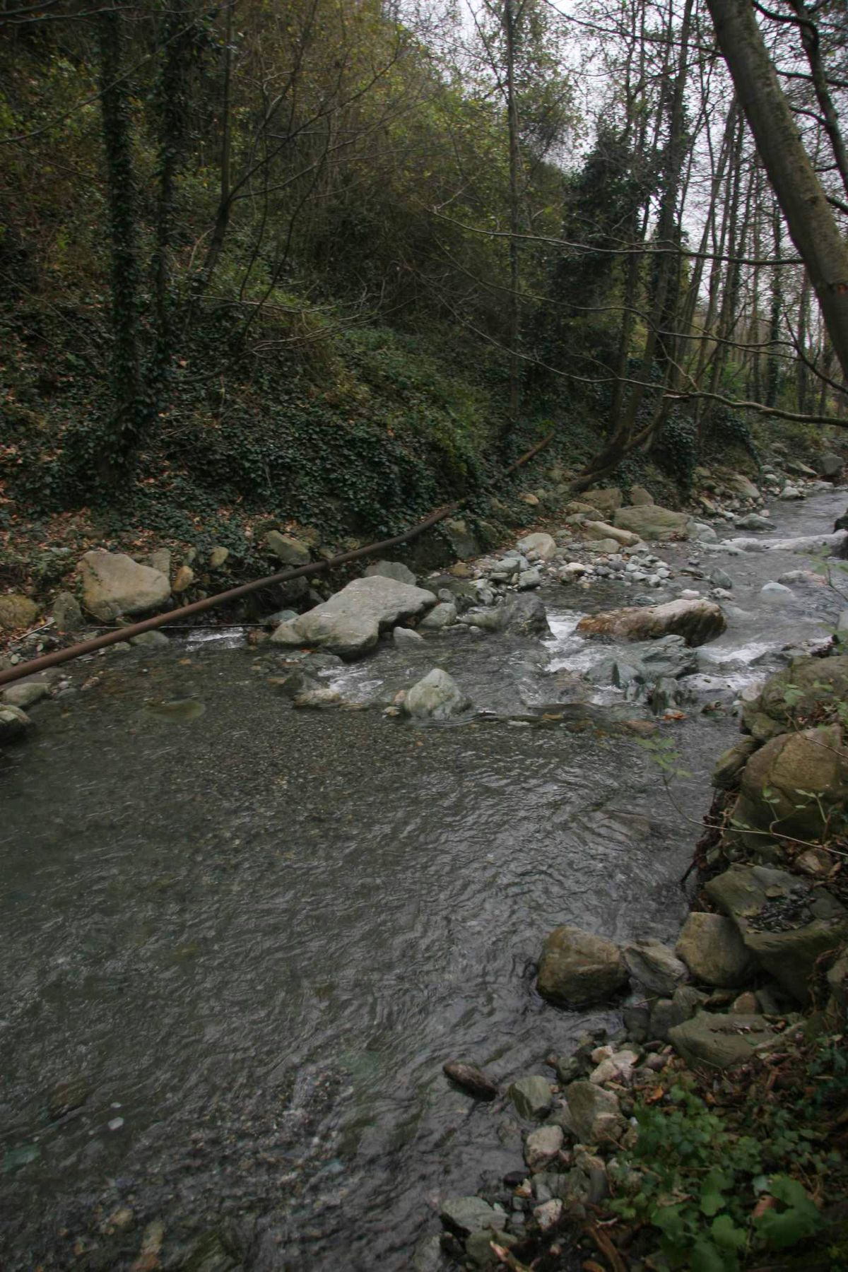 Taş Ocağı Eyleminde Sucuk Yiyip Halay Çektiler