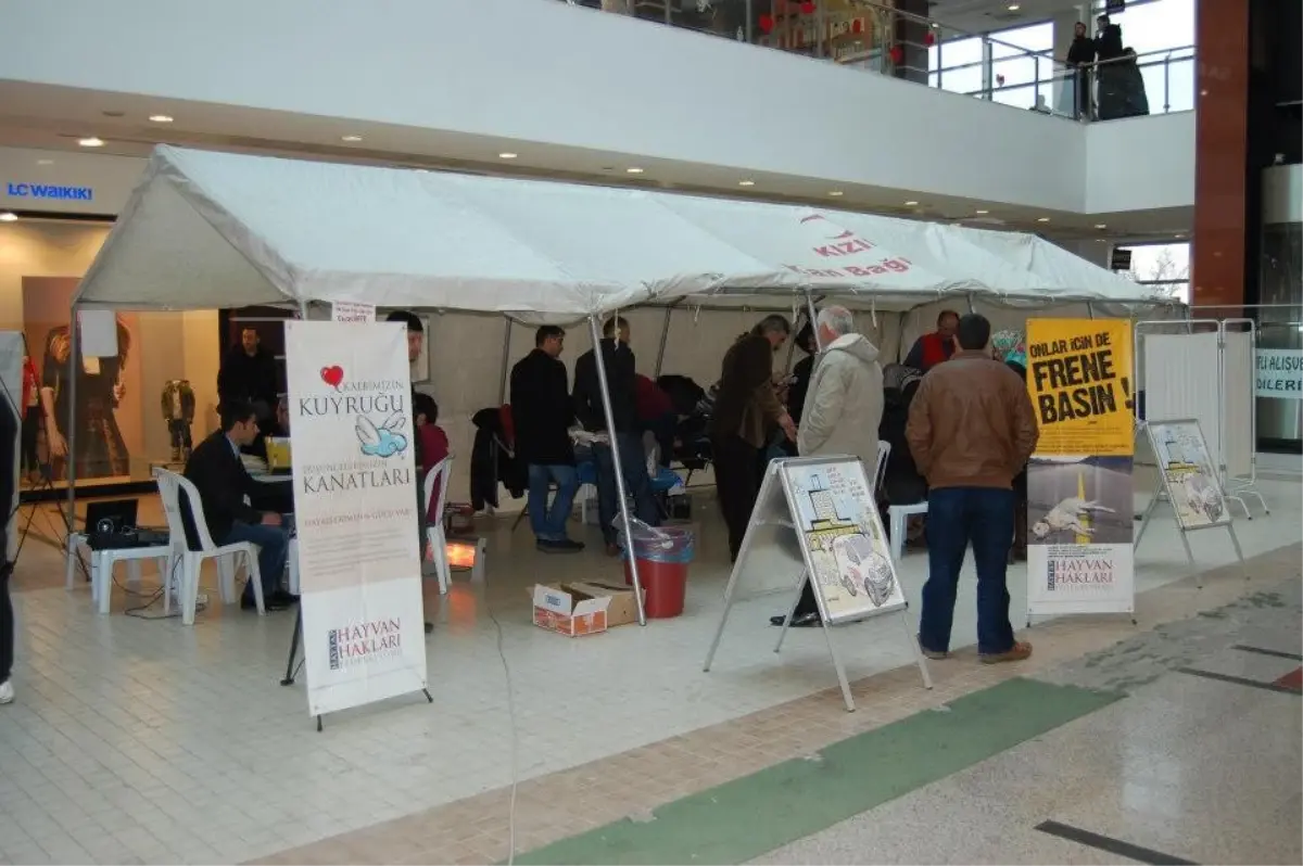 Tatvan'da Kan Bağışı Kampanyası