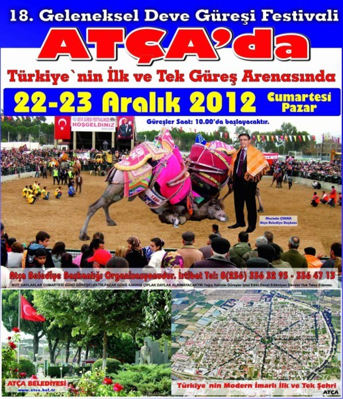130 Pehlivan Deve Atça Arenasında Güreşecek