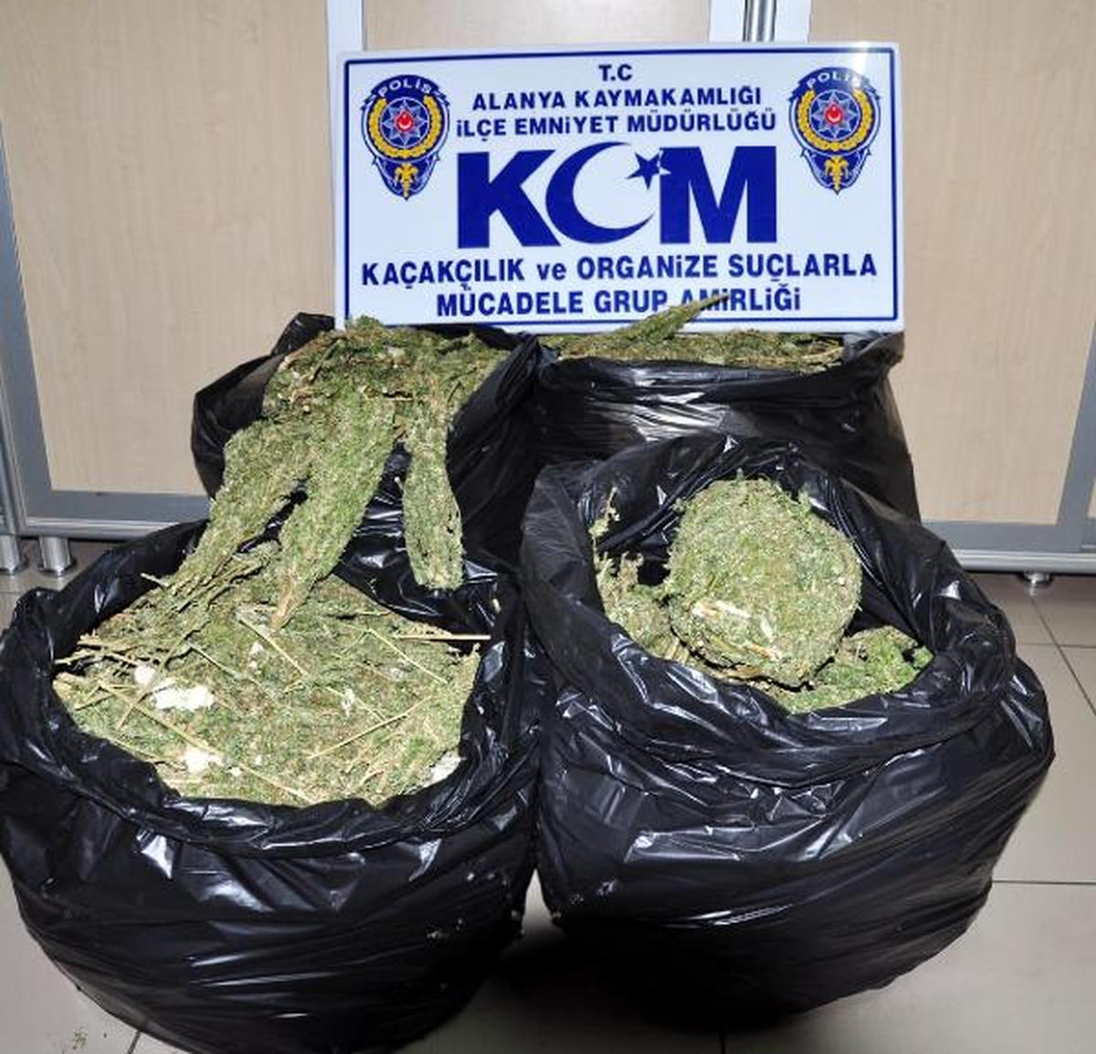 Alanya\'da 43 Kilo Esrar Ele Geçirildi