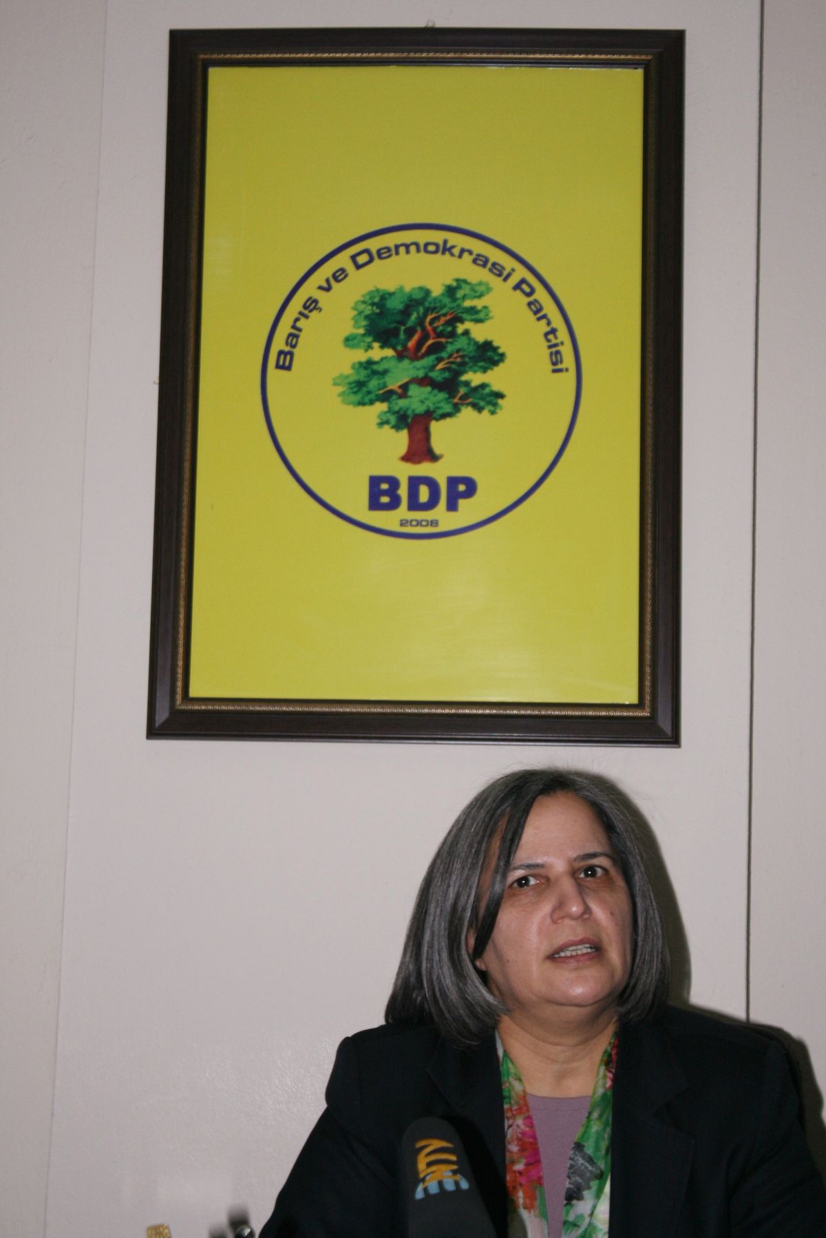 Arınç\'ın Bahsettiği BDP\'li Kışanak Çıktı