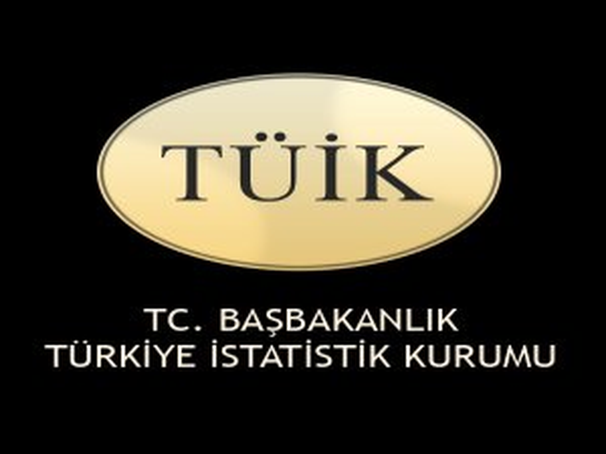 Tüik\'in Verilerine Göre, Yatırım Malları Grubunda 27 AB Ülkesi Genelinde 100 Avro Karşılığı Satın...