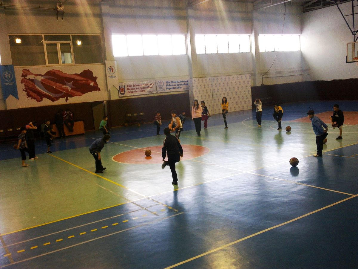 Zihinsel Engelliler Sporda