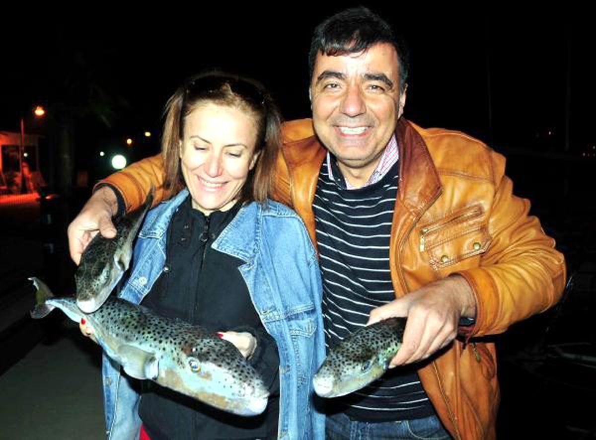 Akdeniz\'e İnen Balon Balığı Balıkçının Korkulu Rüyası