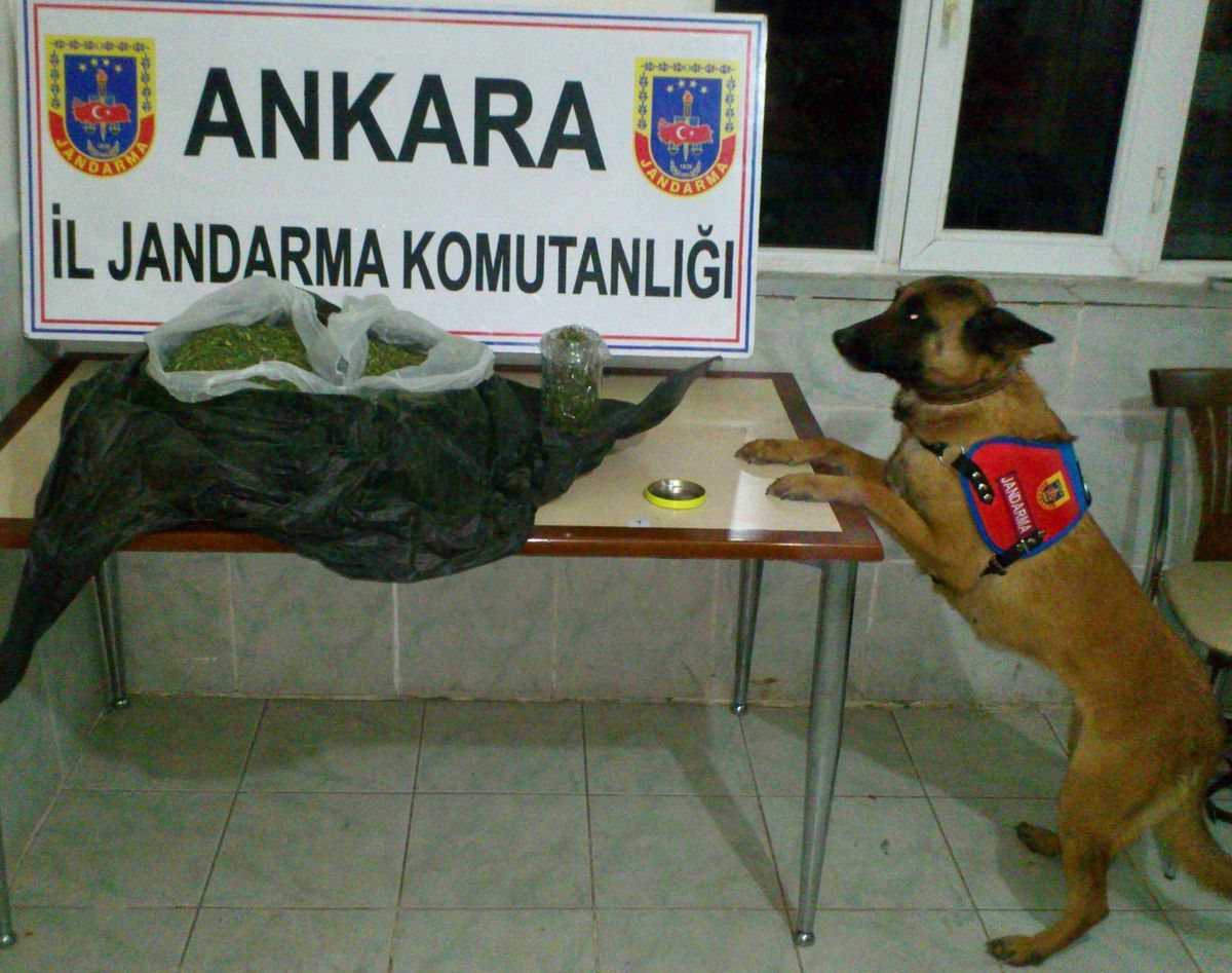Bala\'da 1 Kilo 805 Gram Uyuşturucu Ele Geçirildi