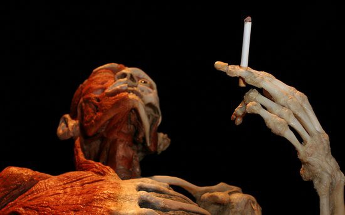 Body Worlds\'de İnsan Bedenine Yolculuk Devam Ediyor