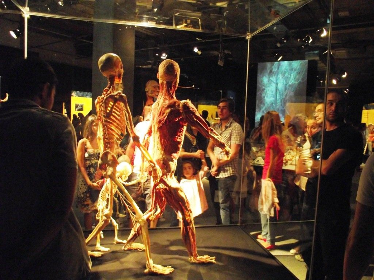 "Body Worlds" Ziyaretçilerini Sağlıklı Yaşamaya Yöneltti