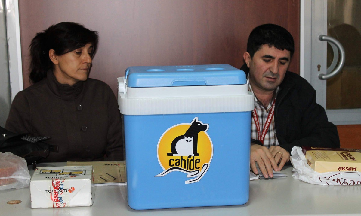"Cahide", Sahipsiz Sokak Hayvanlarına Sahip Çıkıyor