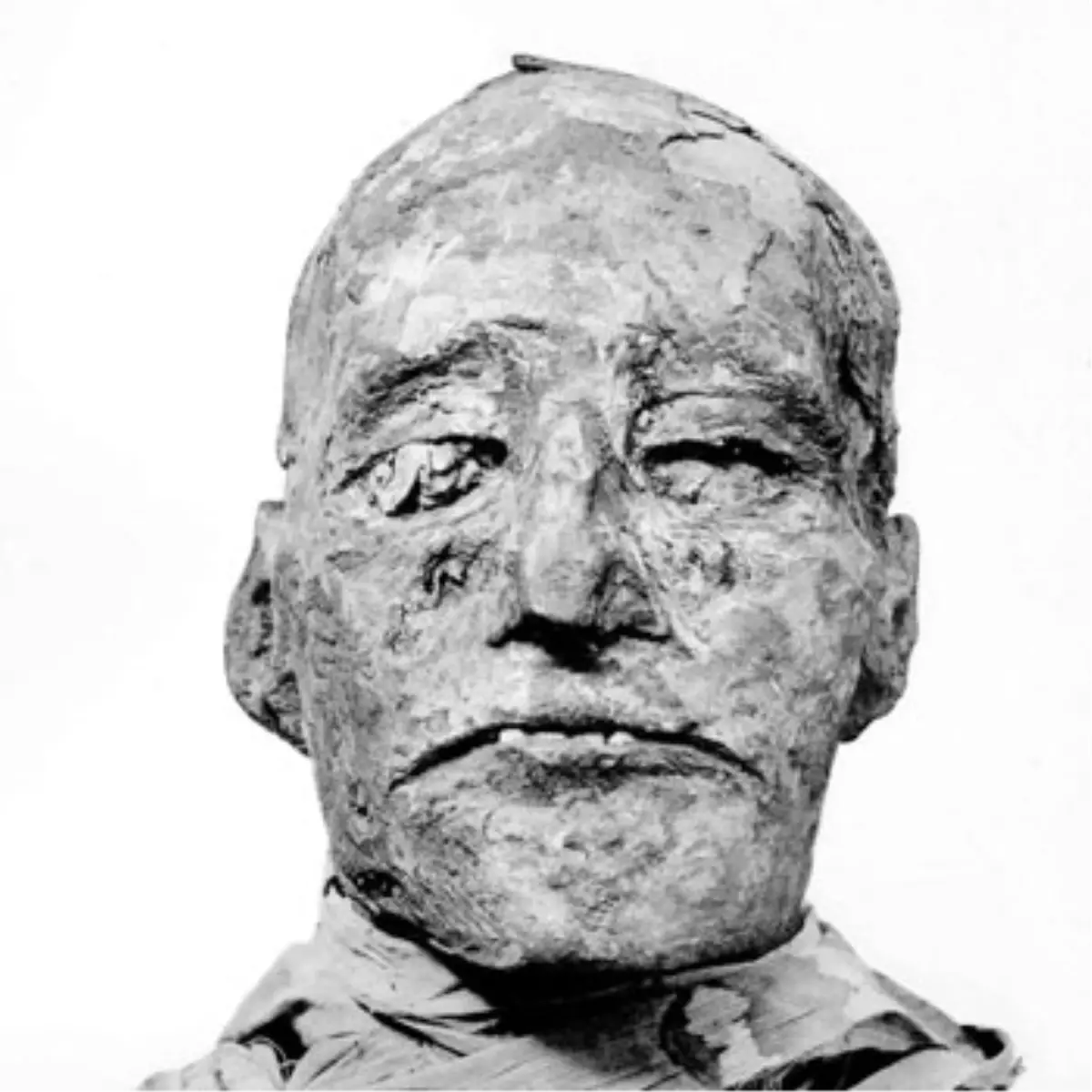 Firavun Iıı. Ramses, Cinayete Kurban Gitmiş