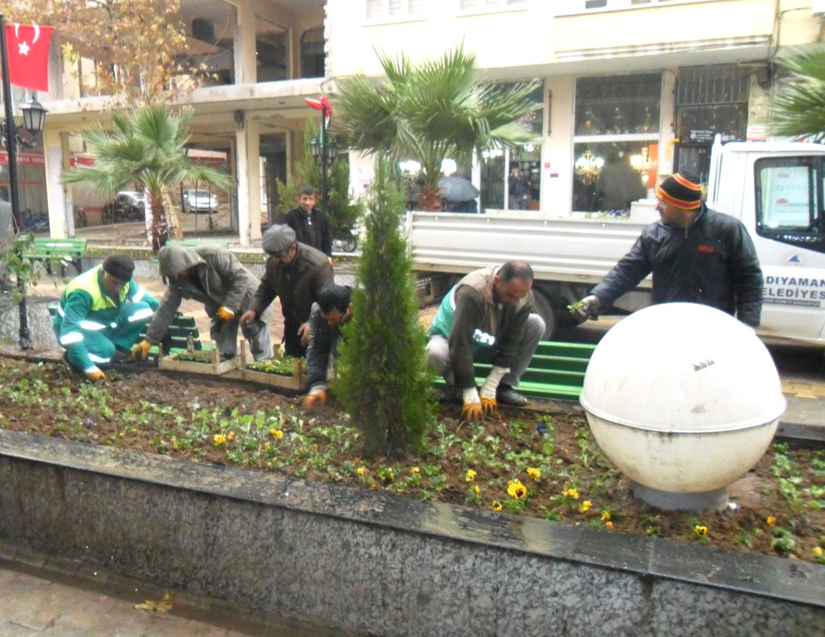 Kavşak ve Refüjler Çiçeklerle Süsleniyor