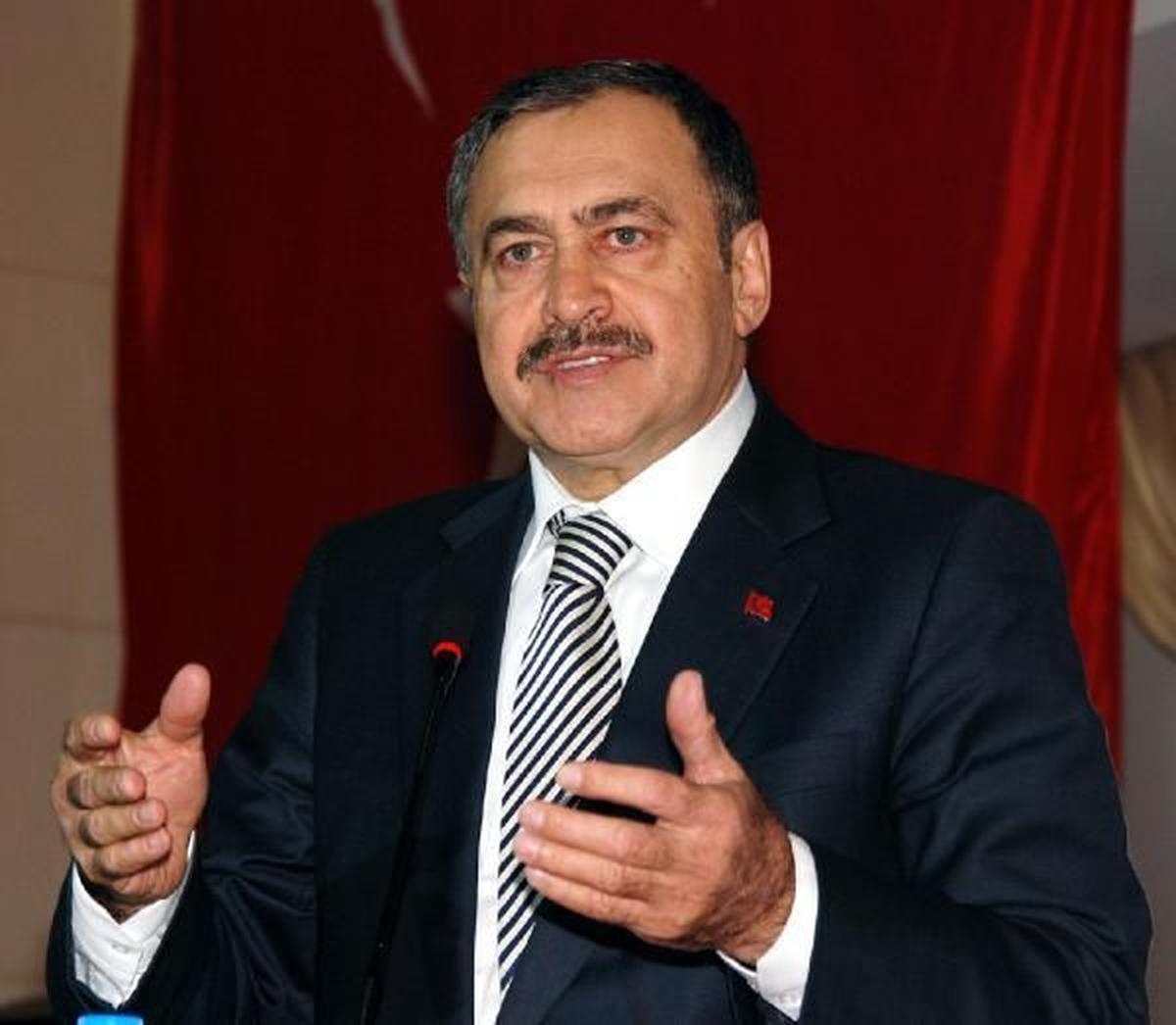 Orman ve Su İşleri Bakanı Veysel Eroğlu, Yılbaşı İçin Ağaç Kesilmesi Konusunda Çok Hassas...