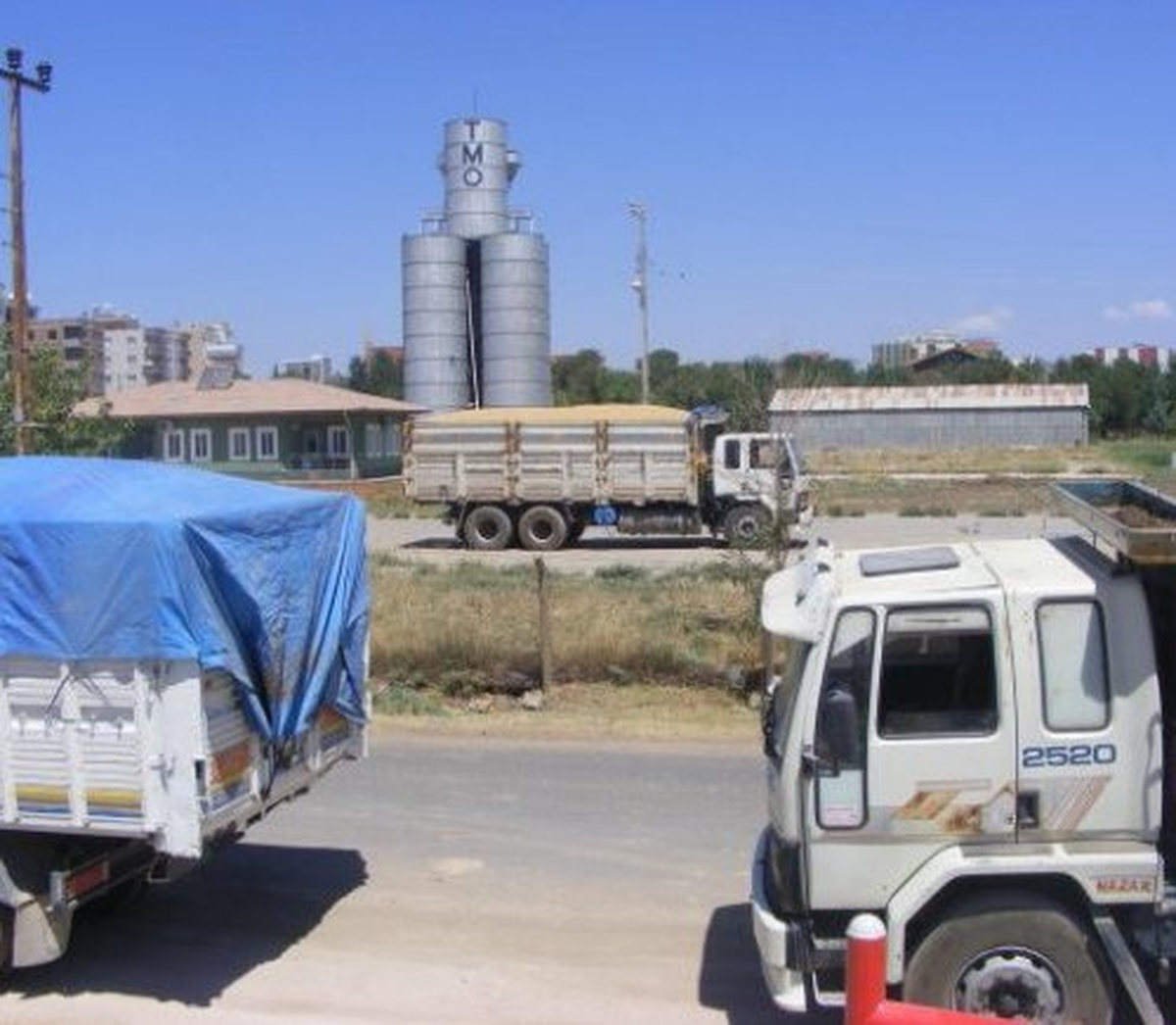TMO\'dan Ucuz Arpa Satışı